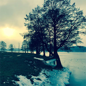 Baum am gefrorenen Jezioro Tałty trotzt dem Winter