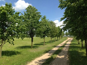 Der Weg vor dem Ziel