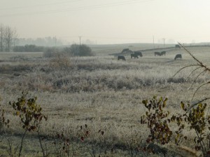 Auch der Winter kann in Tałty reizen